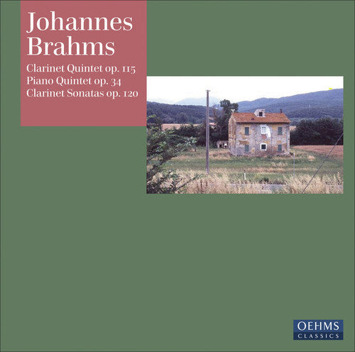 Brahms / Perl / Manno / Schiefen / Rohde / Cunz: Clarinet Quintet