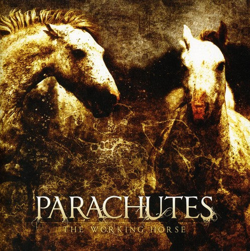 Parachutes: Working Horse