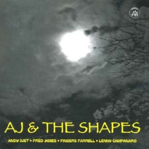 Just, Andy / Shapes: Andy Just and The Shapes