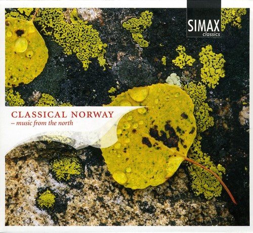 Profiles in Norwegian Music 1905-2005 / Various: Profiles in Norwegian Music 1905-2005 / Various