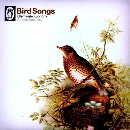 Bird Songs / Various: Bird Songs / Various