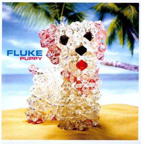 Fluke: Puppy