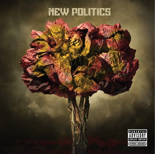 New Politics: New Politics