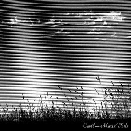 Cavil: Mares Tails