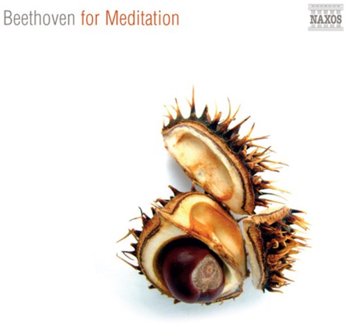 Beethoven for Meditation: Beethoven for Meditation