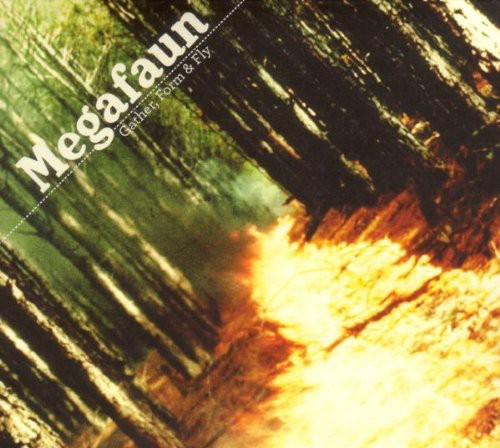 Megafaun: Gather Form & Fly