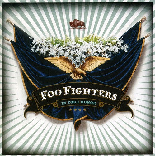 Foo Fighters: In Your Honor