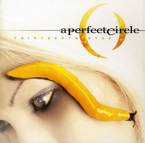 Perfect Circle: Thirteenth Step