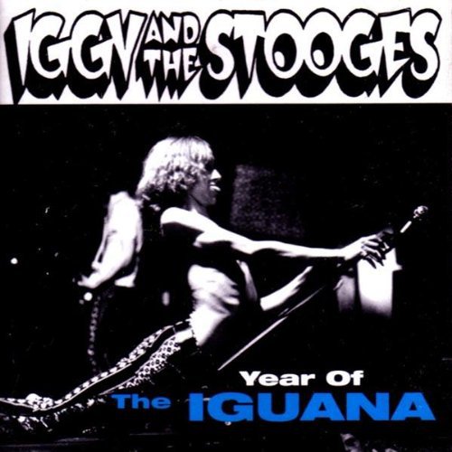 Iggy & Stooges: Year Of The Iguana