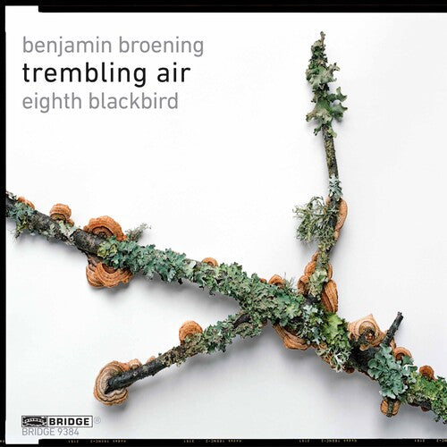 Broening / Eighth Blackbird: Trembling Air