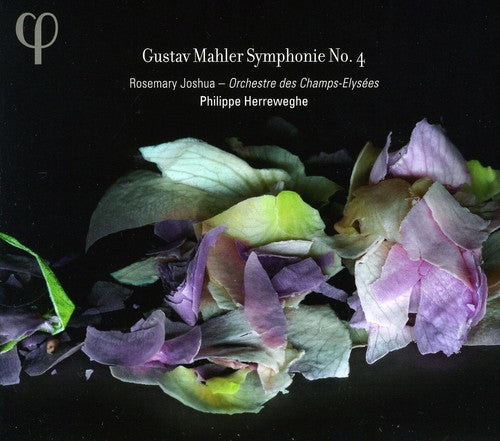 Mahler / Orchestre Des Champs Elysees / Herreweghe: Symphony 4