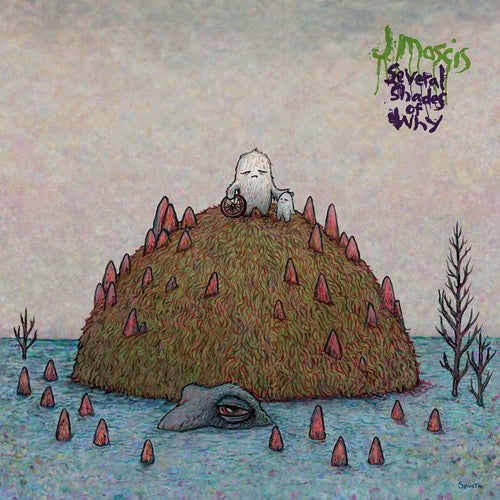 Mascis, J: Several Shades of Why