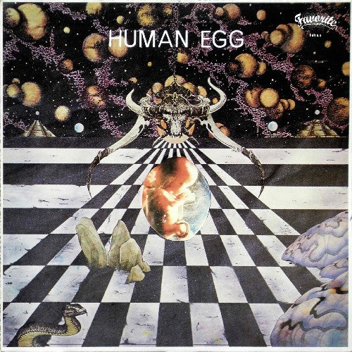 Human Egg: Human Egg