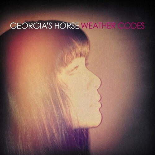 Georgia's Horse: Weather Codes