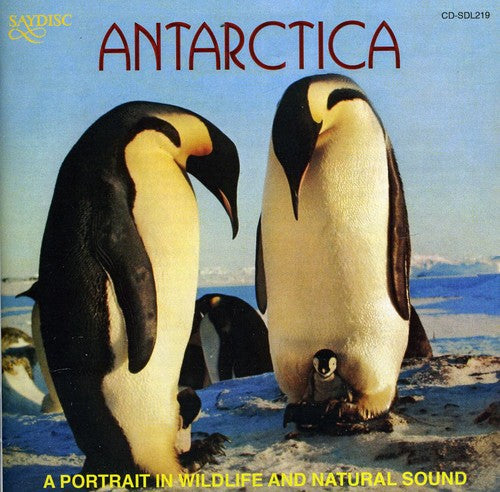 Antarctica: Portrait in Wildlife & Natural Sound: Antarctica: A Portrait In Wildlife and Natural Sound