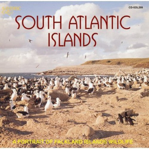 South Atlantic Islands: Portrait Falkland / Var: South Atlantic Islands: A Portrait Of Falkland Islands Wildlife