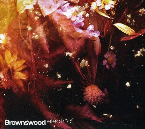 Brownswood Electric 2 / Various: Brownswood Electr*c 2