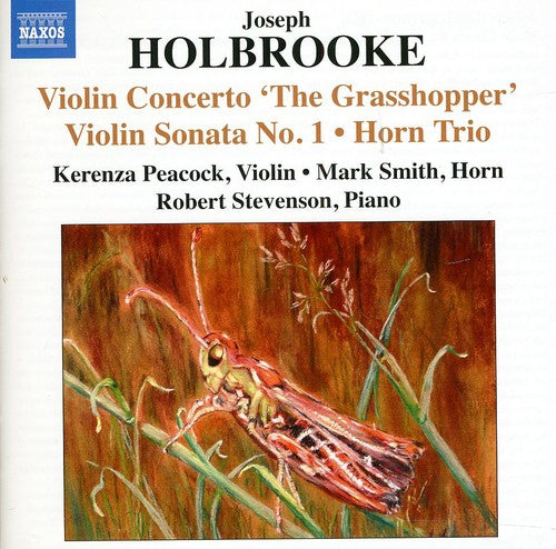 Holbrooke / Peacock / Smith / Stevenson: Violin Sonatas 1 & 2 / Horn Trio / Mezzo-Tints 2