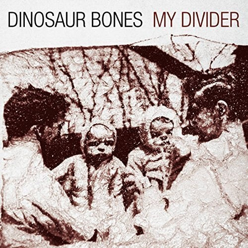 Dinosaur Bones: My Divider (Vinyl)