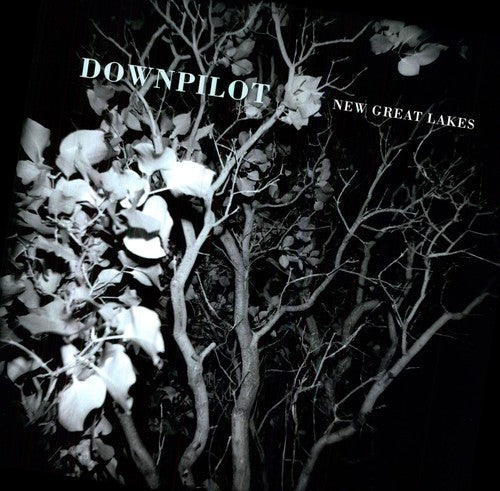 Downpilot: New Great Lakes