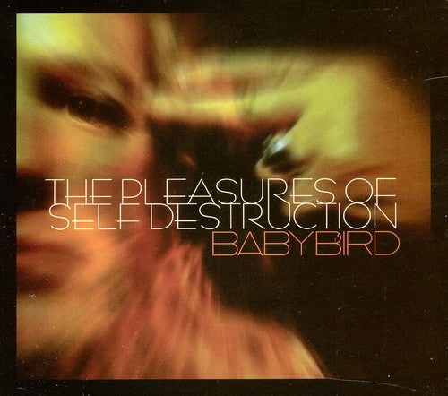 Babybird: Pleasures of Self Destruction