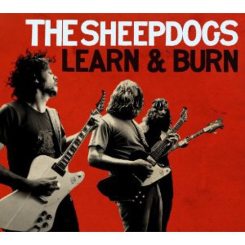 Sheepdogs: Learn & Burn