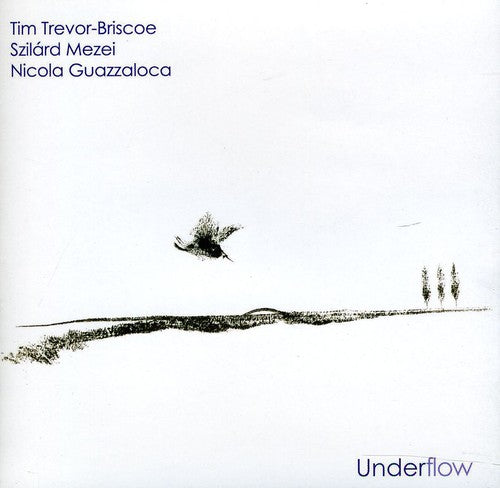 Trevor-Briscoe, Tim / Mezei, Szilard / Guazzalo, Nico: Underflow