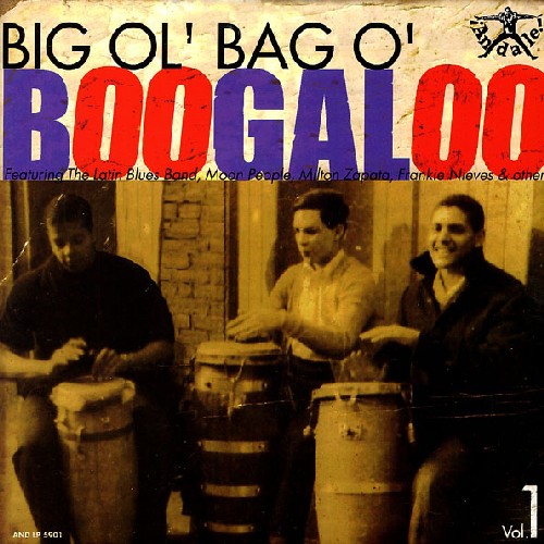 Various Artists: Big Ol' Bag Of Boogaloo, Vol. 1 (Various Artists)