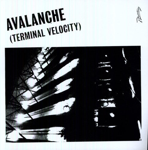 Alkan, Erol / Boys Noize: Avalanche (Terminal Velocity)