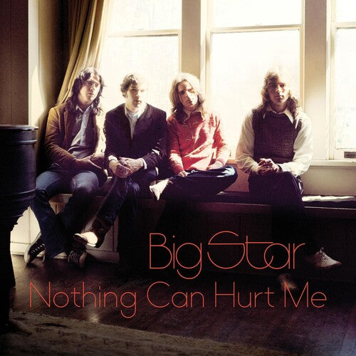 Big Star: Nothing Can Hurt Me