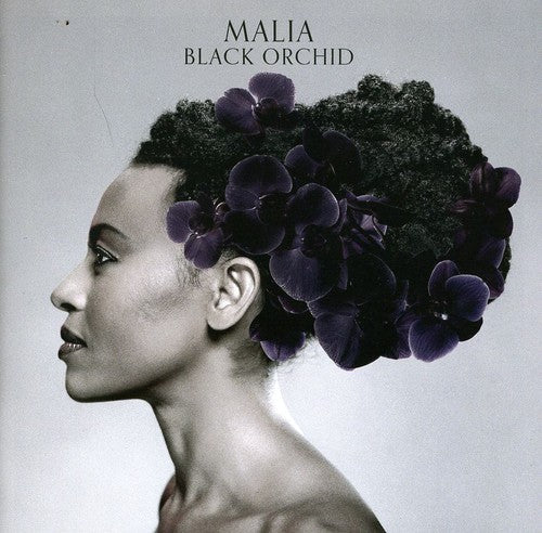 Malia: Black Orchid