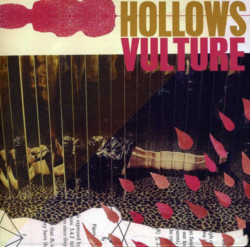 Hollows: Vulture