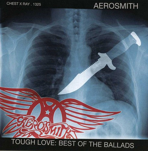 Aerosmith: Icon