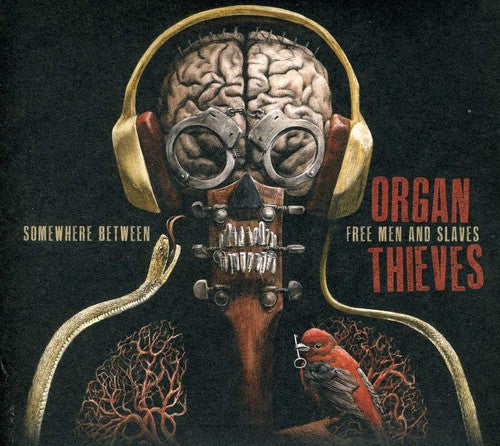 Organ Thieves: Somewhere Between Free Men & Slaves