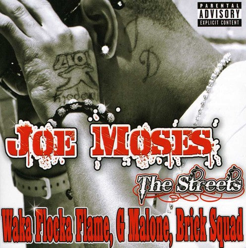 Moses, Joe: From Nothing to Something: The Streets