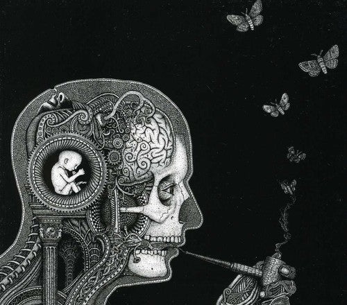 Soen: Cognitive