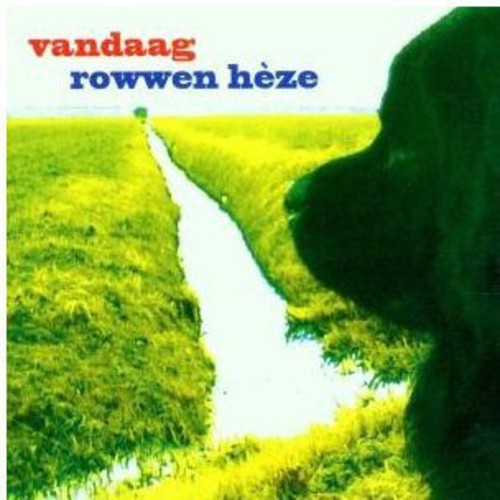 Rowwen Heze: Vandaag