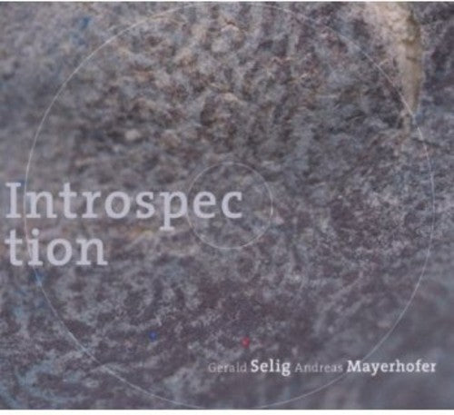 Selig & Mayerhofer: Introspection