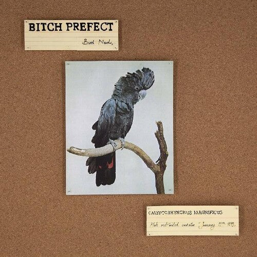 Bitch Prefect: Bird Nerds