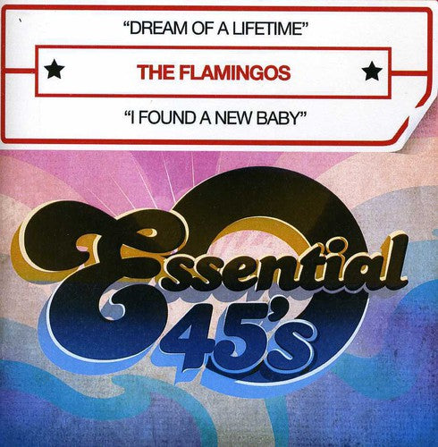 Flamingos: Dream of a Lifetime