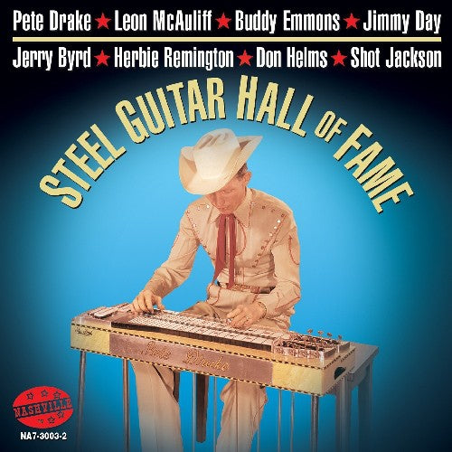 Steel Guitar Hall of Fame / Various: Steel Guitar Hall Of Fame