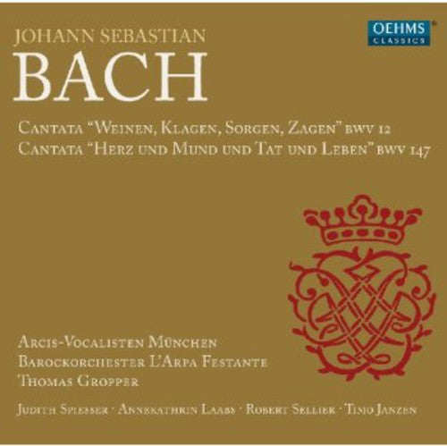 Bach, J.S. / Arcis-Vocalisten Munich / Janzen: Cantatas