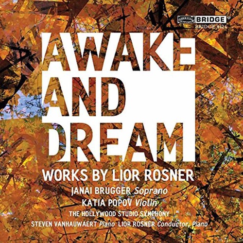 Rosner / Brugger / Rosner: Awake & Dream - COMPACT DISCS
