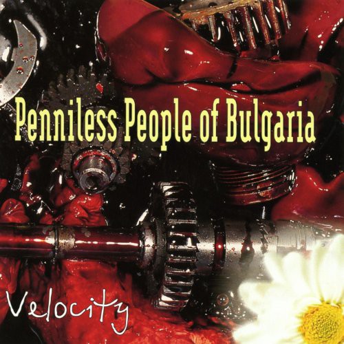 Penniless People From Bulgaria: Velocity