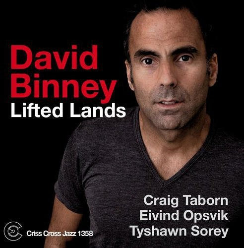 Binney, David: Lifted Land