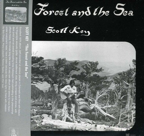 Key, Scott: This Forest and The Sea