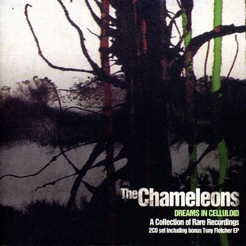 Chameleons: Dreams in Celluloid