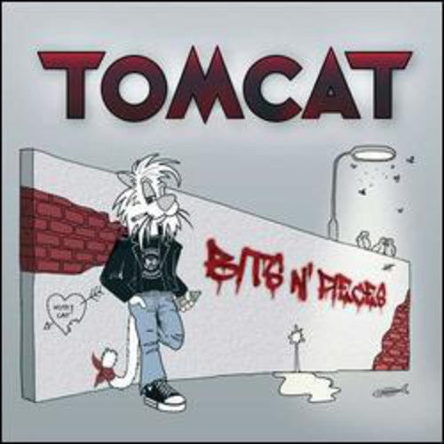 Tomcat: Bits N' Pieces