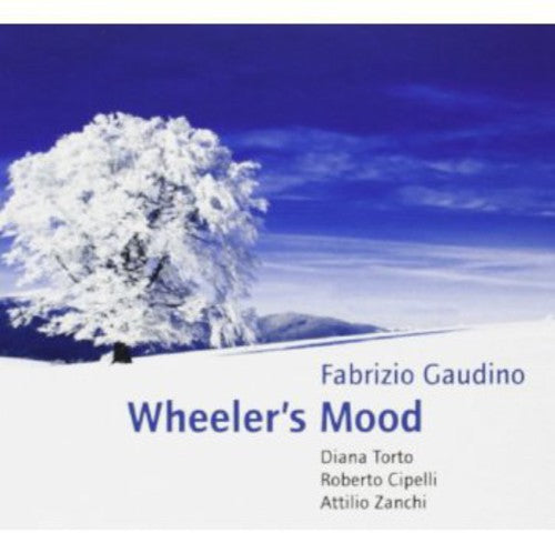 Gaudino, Fabrizio: Wheeler's Mood