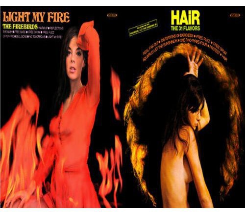 Firebirds / 31 Flavors: Light My Fire / Hair